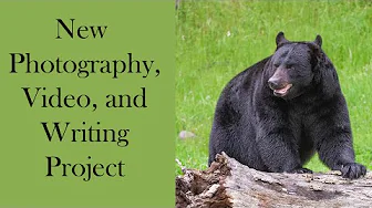 New Photography, Video and Writing Project
