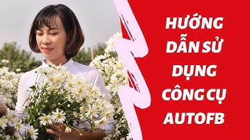 Hướng dẫn sử dụng công cụ Autofb- Tự động tương tác toàn diện Facebook