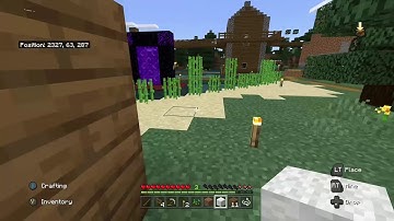 Wandering trader spawns in front of me