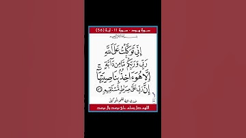 سورة هود - سورة 11 - اية (56)