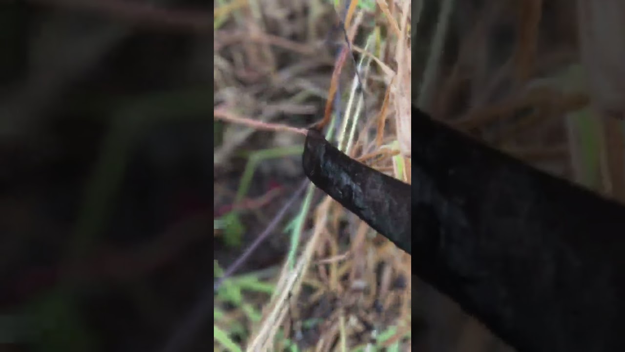 มาครับเปลี่ยนหมายใหม่มาดูจะมีตัวให้ได้ลุ้นไหมครับวันนี้ 5/2/69