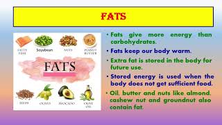 CLASS IV / EVS/ LESSON-5 FOOD WE EAT( MODULE-1)