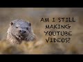 AM I STILL MAKING YOUTUBE VIDEOS? - WILDLIFE PHOTOGRAPHER UPDATE