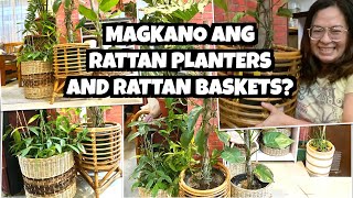 RATTAN BASKETS AND RATTAN PLANTERS DESIGN