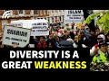 Ethnic diversity weakens society its not a strength research shows ncf immigration conference