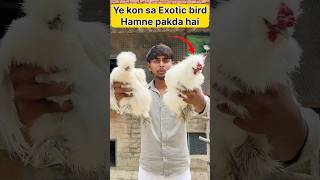 Aisi bird aap ne kabhi nhi dekhi hogi 🙀