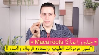 احصل على طاقة جسدية وسعادة زوجيه لا مثيل لها فقط تناول هذه الجذور !! Maca roots