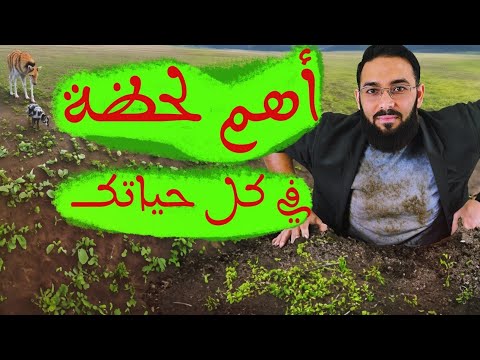 اللحظة الحاسمة لكل تغيير لحظة الفضول