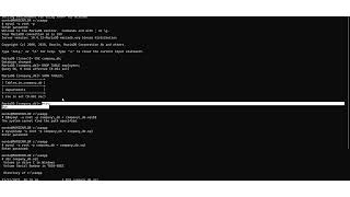Database Administration and Security