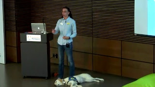 Guide Dogs, Service Dogs, Therapy Dogs and Emotional Support Animals - what’s the difference
