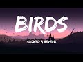 Imagine Dragons Birds Slowed Reverb 