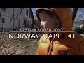 S1e1urban bonsai harvest1 norway maple