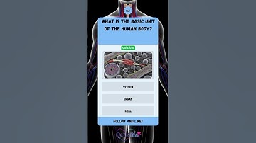 Science Quiz: Human Body Part 3 🫀🦴