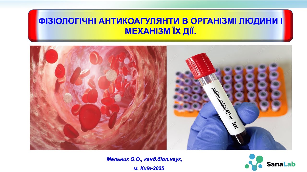 Фізіологічні антикоагулянти в організмі людини і механізм їх дії