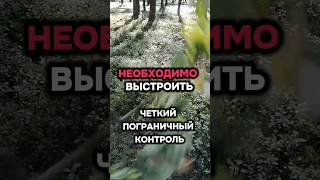 #путьксчастью