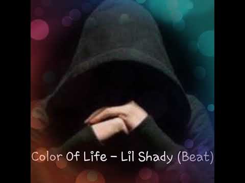 Color Of Life (Beat) -Lil Shady