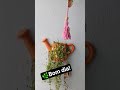 alguém aí sabe qual é o nome dessa planta?🌿