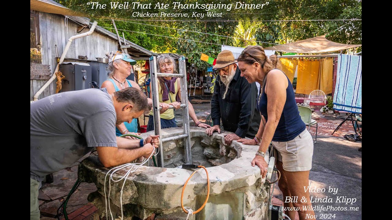 The Well That Ate Thanksgiving Dinner