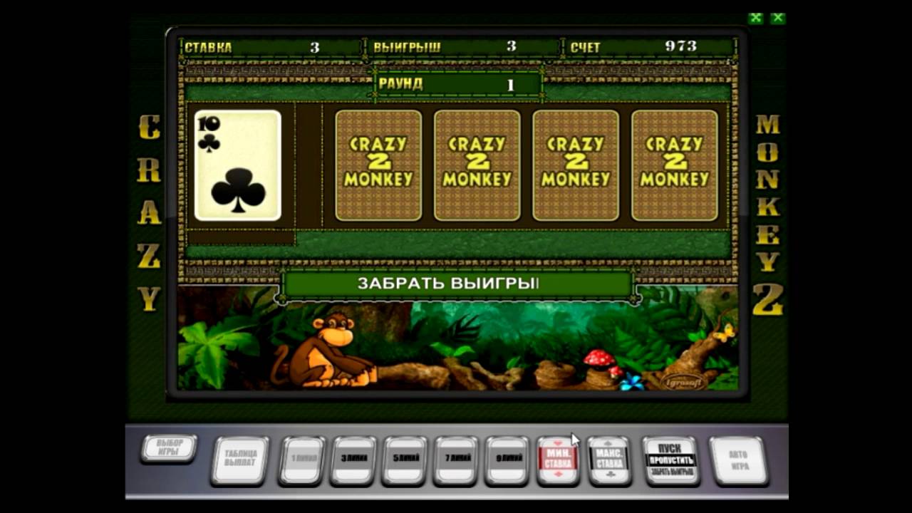 Игры азартные автоматы обезьянки. Игровой автомат Crazy Monkey Deluxe. Казино Crazy Monkey как правильно играть. Crazy Monkey призовая игра кирпич. Обезьянки Deluxe.