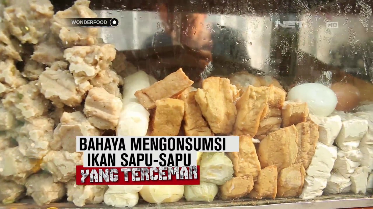 Bahaya Mengonsumsi Ikan Sapu-sapu yang Tercemar! 