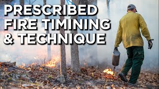 Prescribed Fire TIMING & TECHNIQUE! by Whitetail Properties 1,630 views 2 months ago 3 minutes, 39 seconds