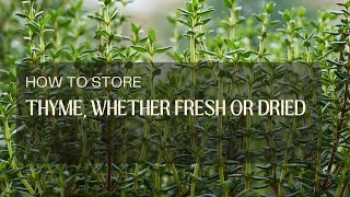 How to Store Thyme, Whether Fresh or Dried?