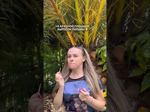 Москвичи, вы уже видели? Побывали в тропиках на Красной площади? 🌴Арт. WB: #WW114894#москва #mixit