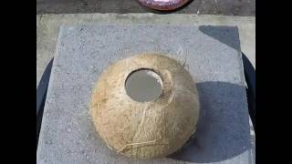 Что будет если вылить раскаленный метал в кокос