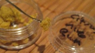 What's Dabbin'? with IE420: Citrus Crumble