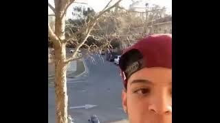 Love me, love me! Say that you love me! (I think it is a Vine?)