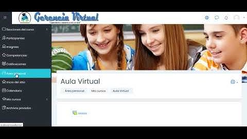 Estructura de un aula virtual Moodle 3.8