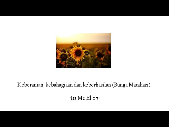 Kebahagiaan Bunga Matahari - Its Me El 07 (Pst) class=