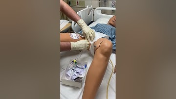 Lab Assignment #1 Sterile Catheter