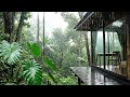 Relaxing Tropical Rain Forest Ambience with Piano Music