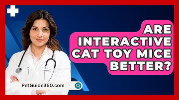 Are Interactive Cat Toy Mice Better? - PetGuide360.com