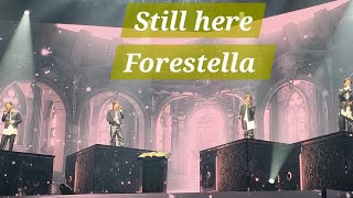  251227(토) #포레스텔라 #StillHere #theLegacy #Forestella 