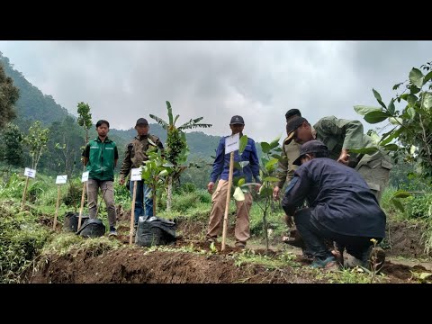 Jawab Kerusakan Alam dengan Aksi Nyata, Komunitas di Batu Gelar Gerakan Penanaman Pohon Produktif