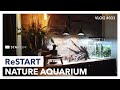 【アクアリウム】もう一回アクアを始める時に思うこと/Restart Nature Aquarium/#Vlog#33