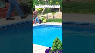 Man rescued a baby deer from drowning in the pool #shorts