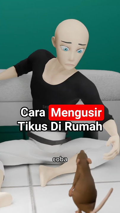Cara Mengusir Tikus Di Rumah  #seputarnguawur