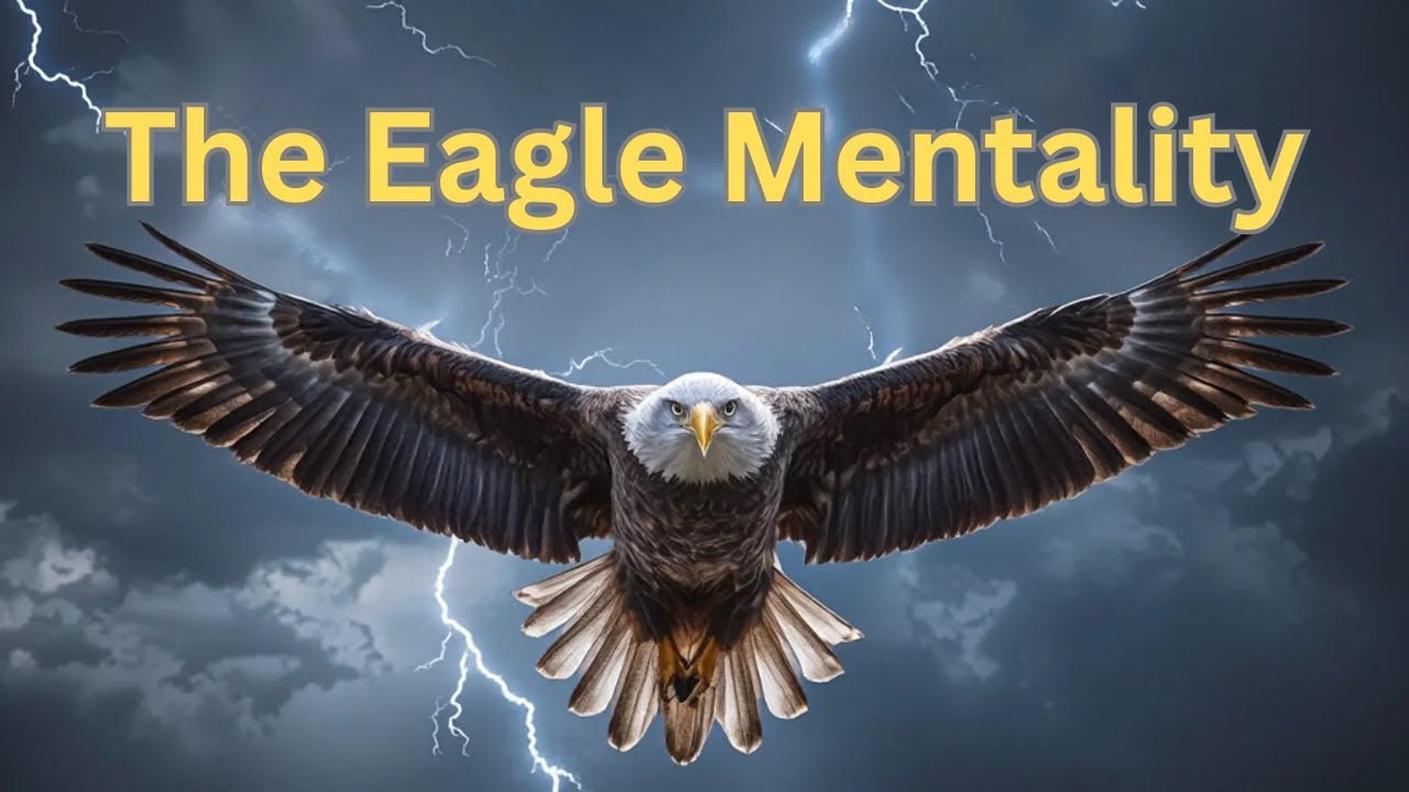 7 Life Lessons from Eagles That Will Change How You Think Forever