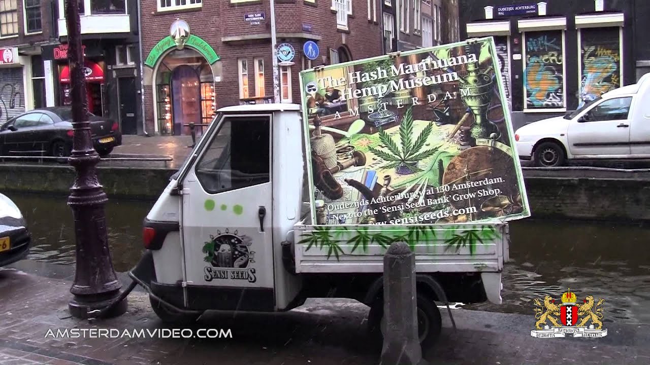 Chinese Newyear Snow Celebration Amsterdam 2 9 13 Day 954 YouTube