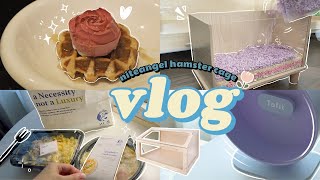 vlog | Unboxing Niteangel hamster cage & accessories, ZUS meal & Cornetto Love Rose开箱艾特斜开笼和仓鼠用品