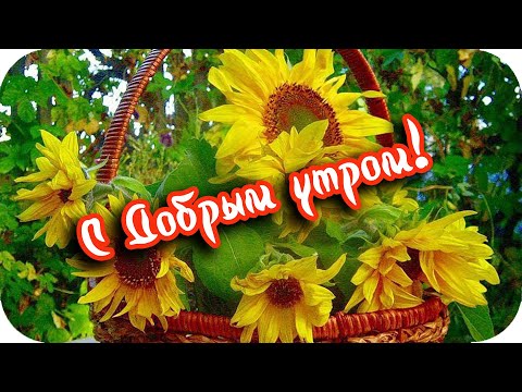 С Добрым утром! ❤️Я просто желаю хорошего дня! ❤️Прекрасное музыкальное пожелание❤️