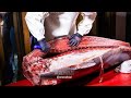 Ronqueo en Eshob - Arrom IE