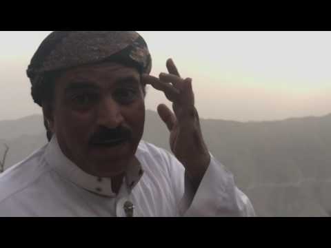 الباحة طبيعة شجرة الزيتون