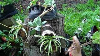 Alamo sq. shoe garden: discover