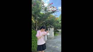 Meenoi (미노이) X Leellamarz (릴러말즈) X Loco(로꼬) X Giriboy type beat Pop R&B  Type Beat  봄날 감성 팝 타입비트