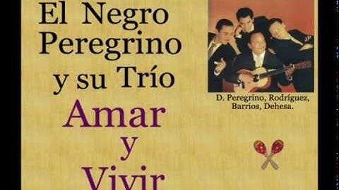 El Negro Peregrino y su Trío:  Amar y Vivir  -  (letra y acordes)