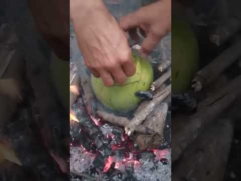 Video cuộc sống thôn quê #48 độc lạ bá đạo - youtube